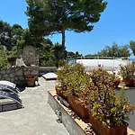 Regina Di - Occhio Marino - *